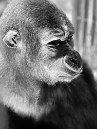 naturalis 9-2021 9598